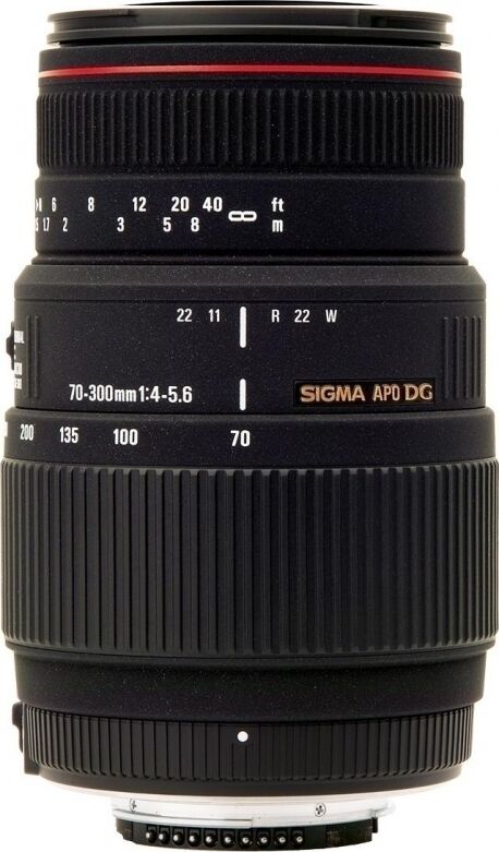 APO 70-300mm F4-5.6 DG MACRO