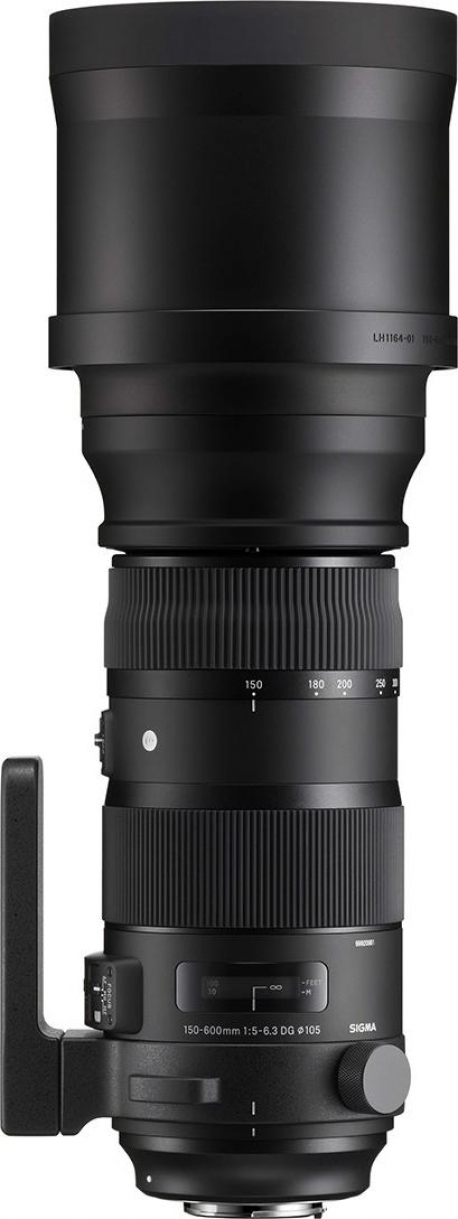 150-600mm F5-6.3 DG OS HSM | Sports