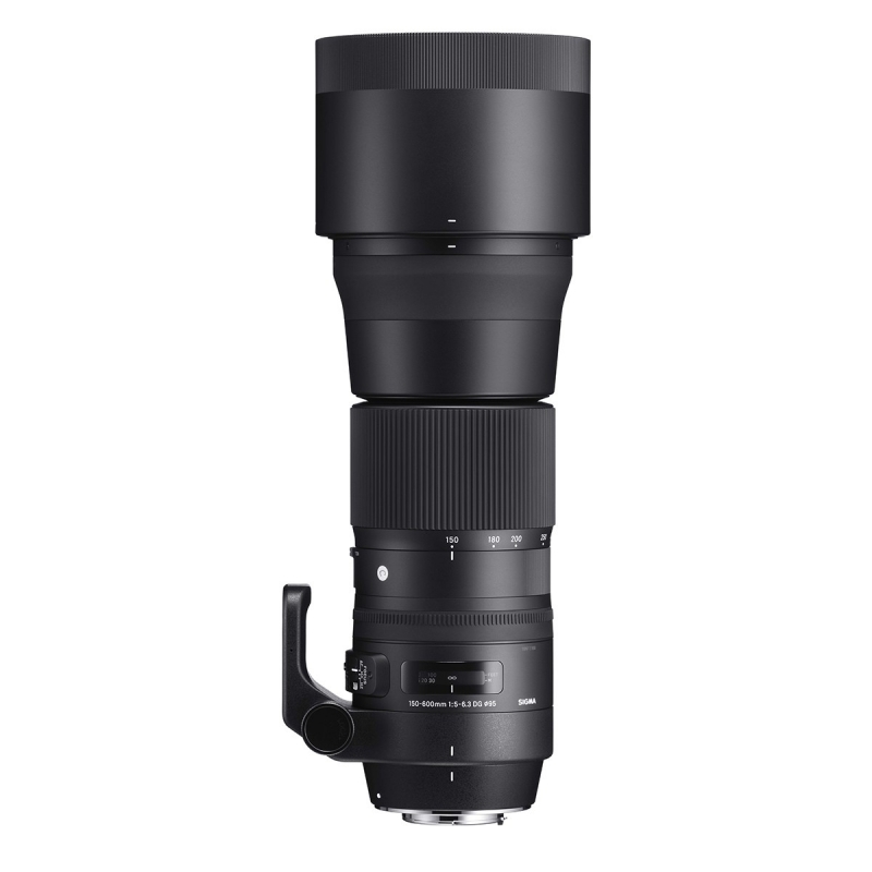 並品】 シグマ 150-600mm F5-6.3 DG OS HSM Sports ニコン用 - 交換レンズ