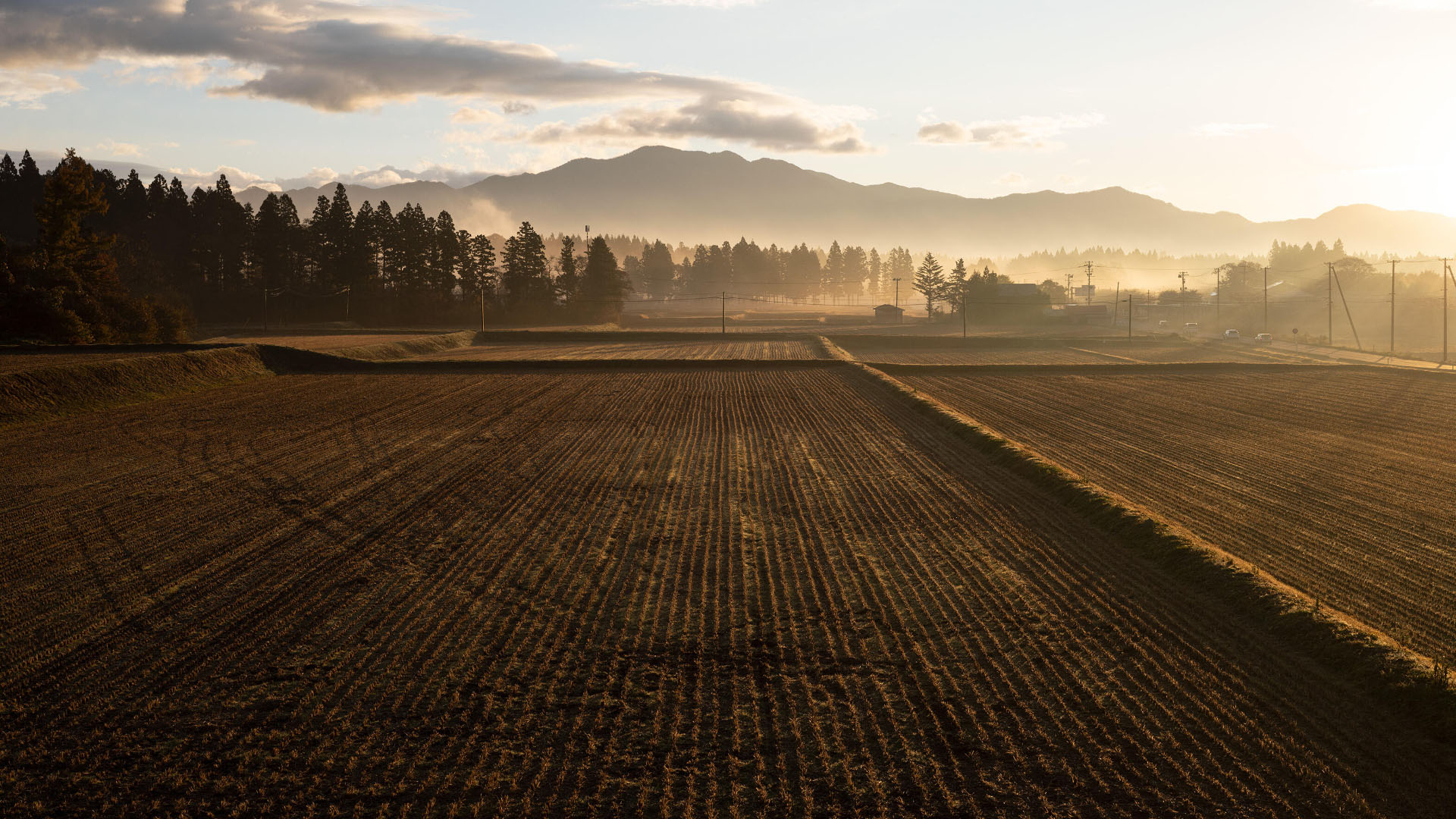 Sigma, fabricant d’appareils photo et d’objectifs, se lance dans la culture du riz dans la région d’Aizu.