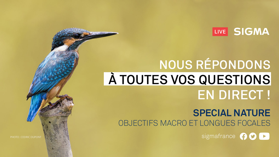 Rediffusion Youtube : Questions-Réponses Spécial Nature
